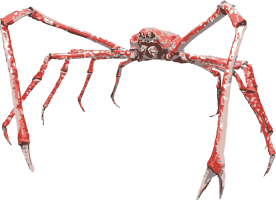 Image of a Japanese Spider Crab
